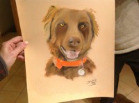 /album/galerie-photos/photo-1145-jpg/